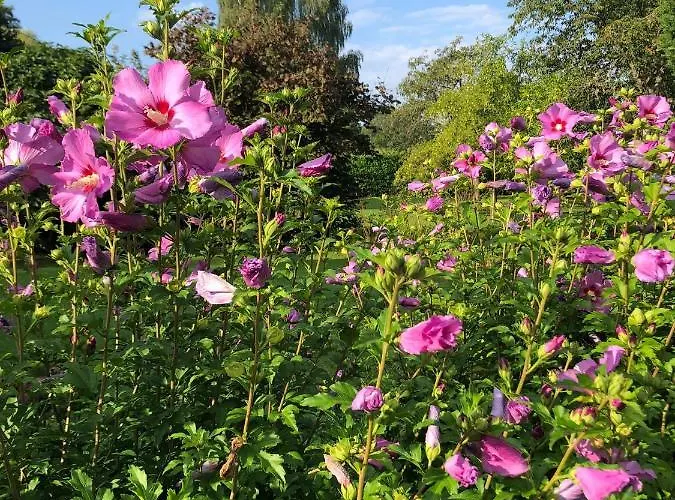Le Clos Du Avre * Breux-sur-Avre